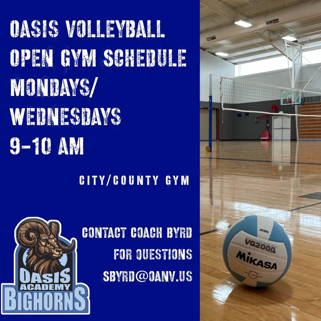 Oasis Academy Volleyball Open Gym