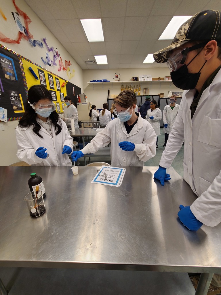 Macromolecule testing 3