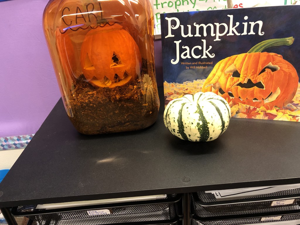 Carl the Pumpkin